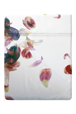 Drap plat en satin de coton 80 fils/cm² Aurore - Blanc