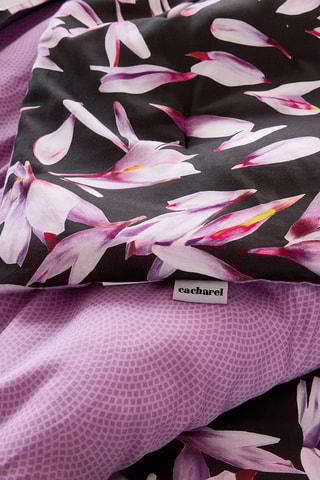 Edredon en satin de coton - Noir