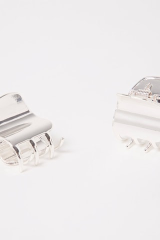 2 Klemmen Zilverkleurig