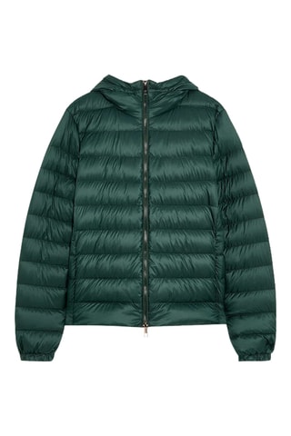 Gewatteerde Jas met Capuchon - Donkergroen