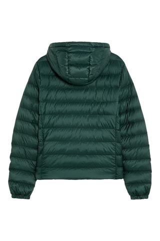 Gewatteerde Jas met Capuchon - Donkergroen