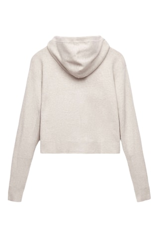 Sweater met Capuchon - Gemêleerd Lichtgrijs