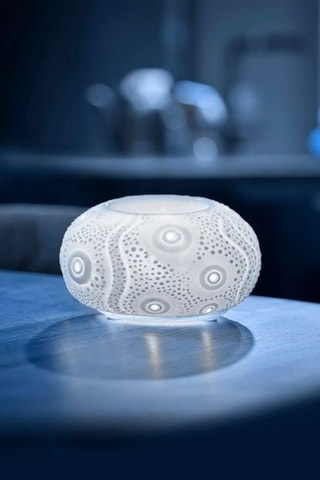 Difusor de calor Douce Oursin