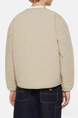 Jasje Thorsby - Beige - Dickies