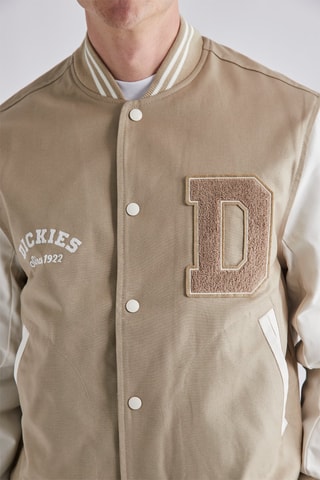 Jasje Oak Grove - Beige - Dickies