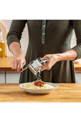 Roestvrijstalen Rasp