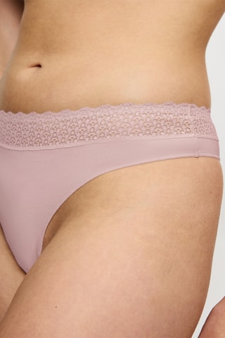 String Feel of Modal - Violet