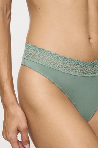 String Feel of Modal - Vert