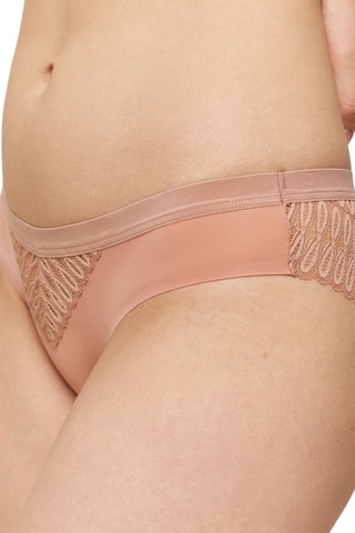 Culotte Aura Spotlight  - Marron