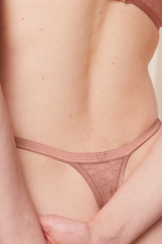 String Signature  - Marron