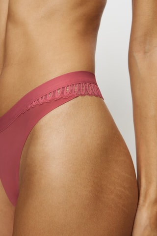 String Aura Spotlight  - Rose