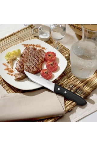 6 facas para carne em aço inoxidável Trappeur - 24,5 cm