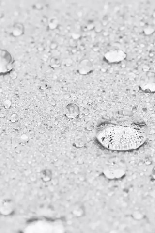 Veste à capuche - Noir, blanc et gris 