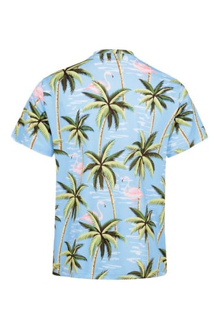 T-shirt Litchi - Ciel et vert