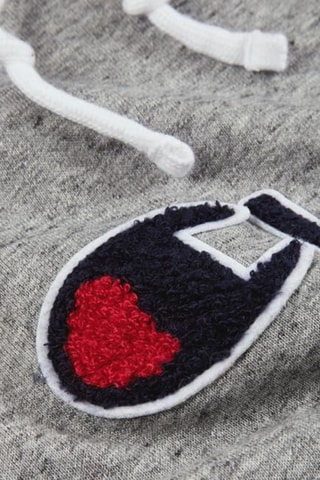 Sweat à capuche Gris