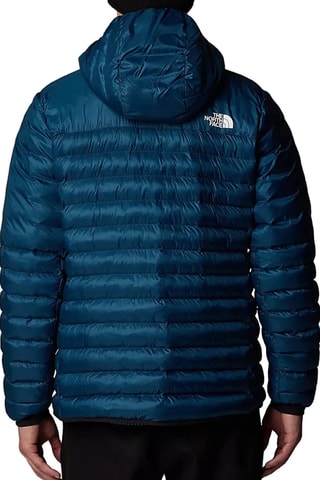 Doudoune à capuche - Bleu pétrole