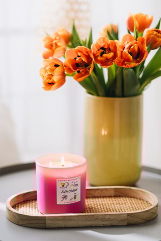 Maxi candela profumata Dominican Republic - Fave di Tonka, noce di cocco e orchidea