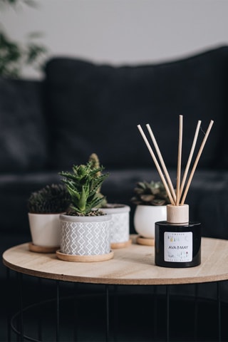 Diffusore di profumo Suède - Musk - 100 ml