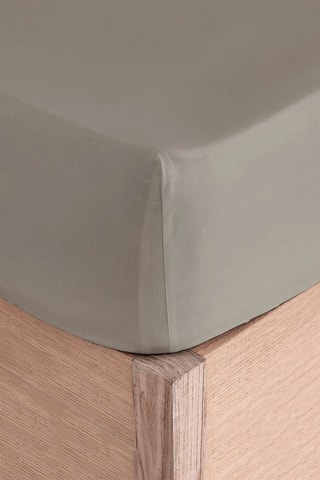 Drap-housse en coton 57 fils/cm² Casual - Taupe