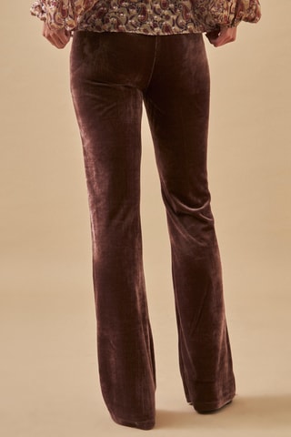 Pantaloni flare in velluto Columbina - Viola