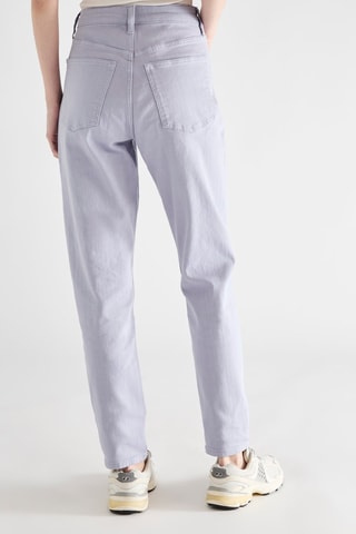 Vaquero - Azul cobalto