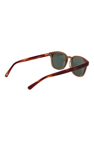 Lunettes de soleil homme - Catégorie 3 - Botaniq