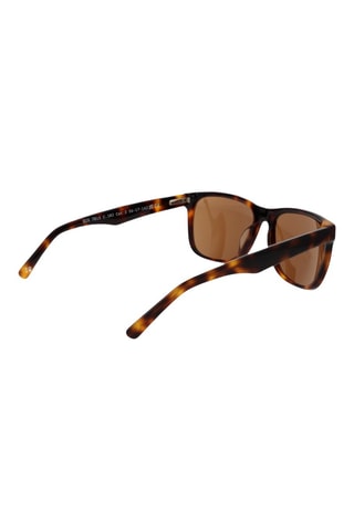 Lunettes de soleil homme - Catégorie 3 - Botaniq