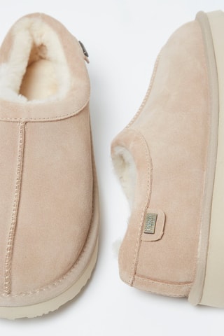 Socas em nobuck - Camel