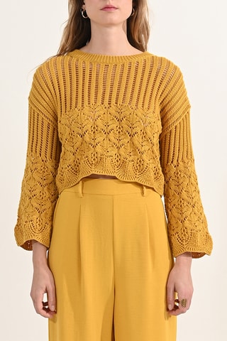 Jersey - Mostaza - Molly Bracken