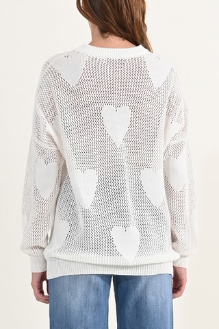 Jersey - Crudo - Molly Bracken