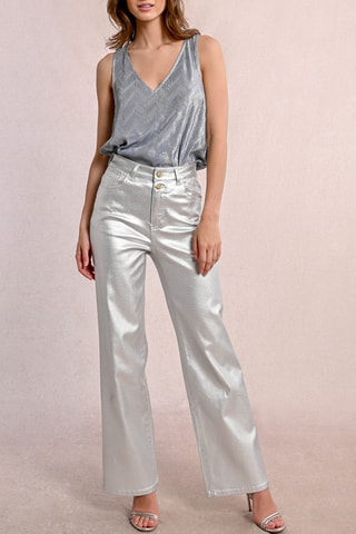 Broek Hoge Taille - Zilverkleurig