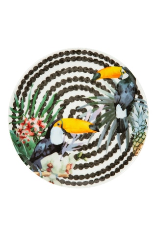 6 assiettes en porcelaine Tropical - 31 cm
