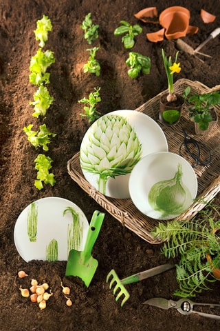 6 verres Flore et Faune - 37 cl