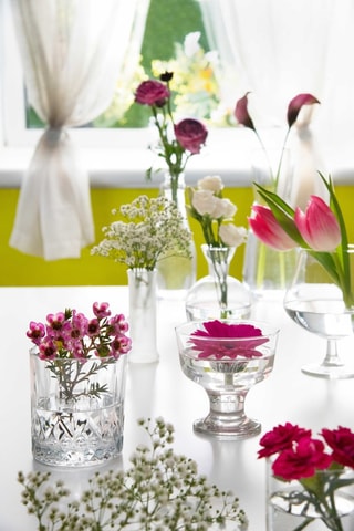 6 coupelles à dessert Malibu en verre  -  29 cl