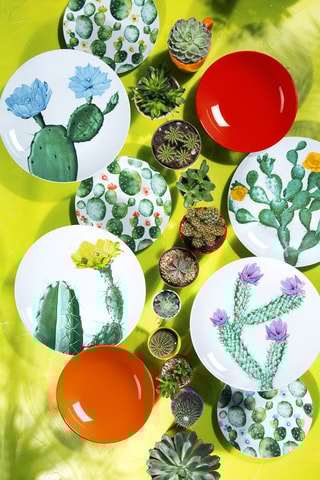 Service en porcelaine Flora Cactus - 18 pièces