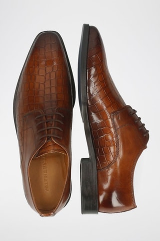Derbys en cuir Alex - Marron