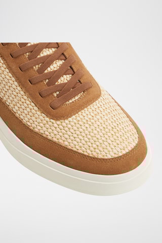 Baskets en cuir Prentice - Marron