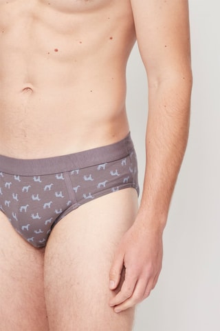 Slip - Azul y marrón