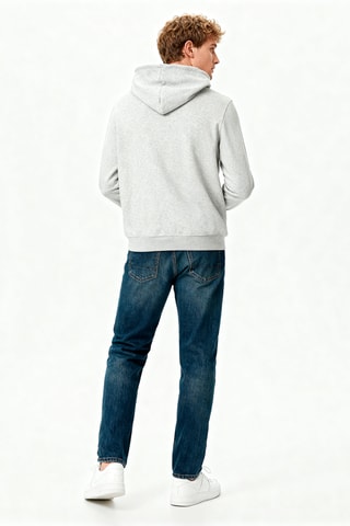 Sweater met Capuchon - Grijs