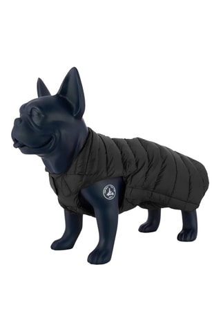 Piumino senza maniche per cane  - Nero