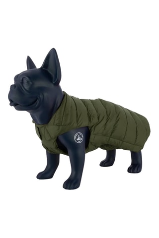 Giacca senza maniche per cane  - Kaki