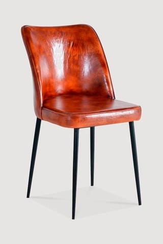 Chaise - Marron et noir - Cuir