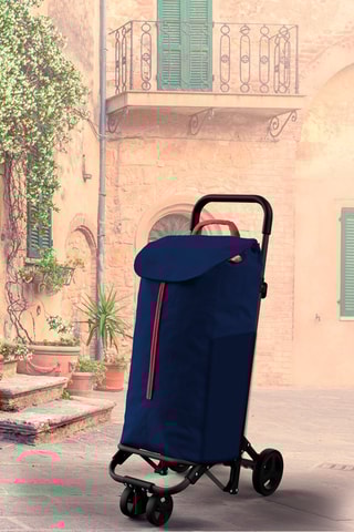 Chariot Twin Bleu - 50 l