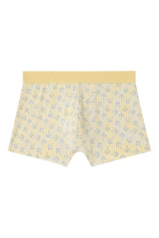 Boxer New Katchiz Ancrayiz - Jaune