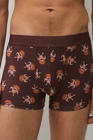 Boxers Pumba O Rei Leão Disney - Castanho