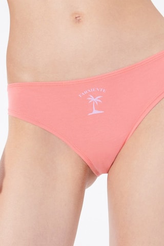 LINGERIE BAS LINGERIE LOT BAS LINGERIE BOTTLIZ CURACAO