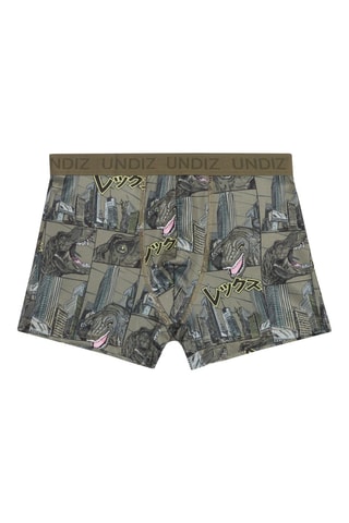 3 boxers Teenbediz - Verde-esmeralda e preto