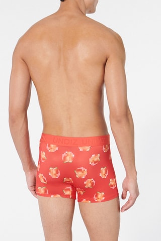 Boxers Repeatiz - Salmão