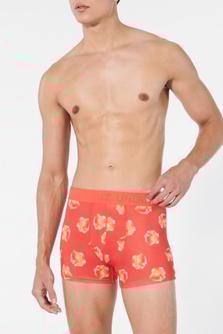 Boxers Repeatiz - Salmão