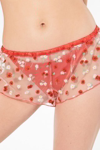 Shorties Almaiz - Salmão